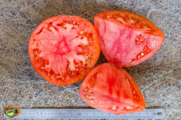 belarusian heart Белорусское сердце­