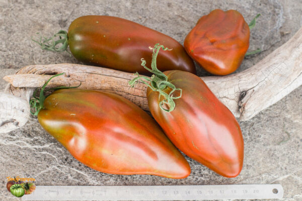 cuban pepper like