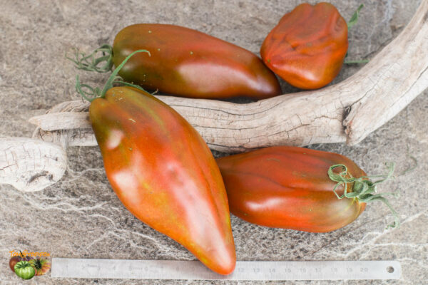 cuban pepper like