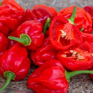 aji dulce puerto rico