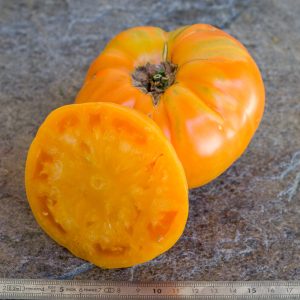 amana orange