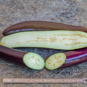 POAMAHO DARK LONG