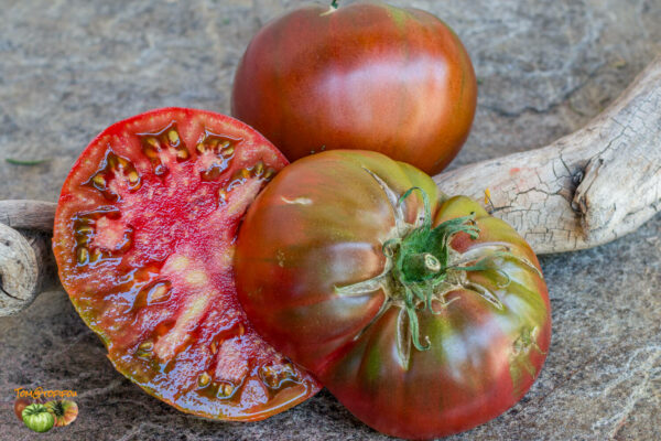 black krim noire de crimÉe