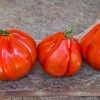 red pear gransasso selection
