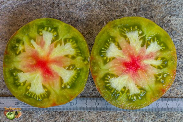 copia pomme f6