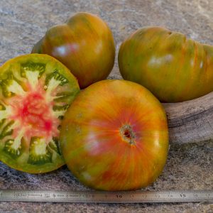 copia pomme f6