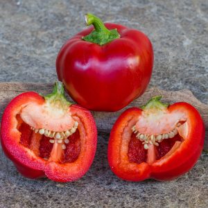 tomate rouge