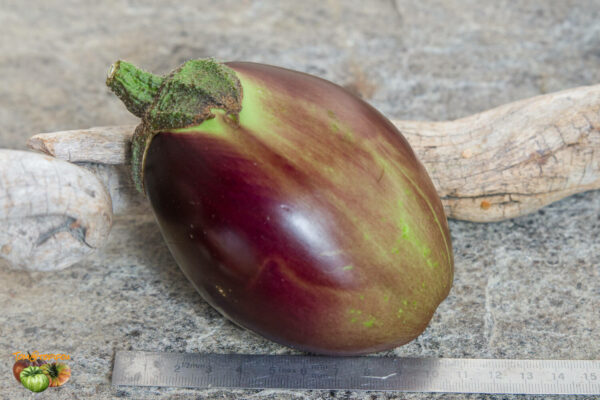 serdtsevidnyy heart shaped