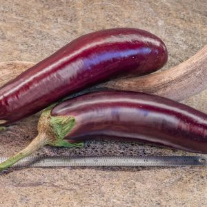 violette de toulouse