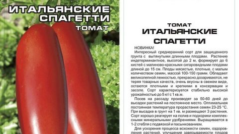 ITALIANSKIE SPAGETTI - Итальянские спагетти