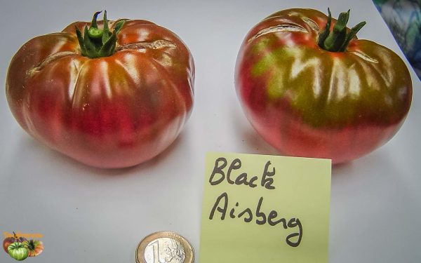 black aisberg