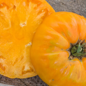 BRANDYWINE APRICOT