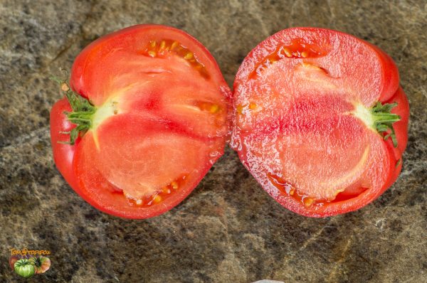 garvey's plum