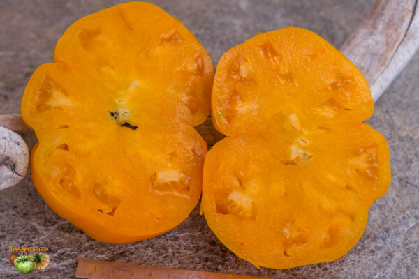 german orange strawberry