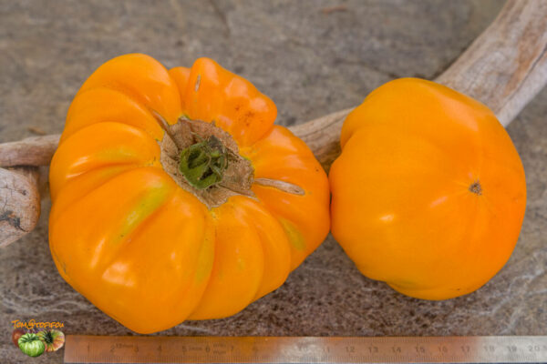 german orange strawberry
