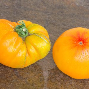 pamplemousse du grand pere