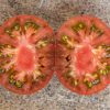 WATERMELON - Арбузные - Image 6