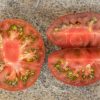 WATERMELON - Арбузные - Image 4