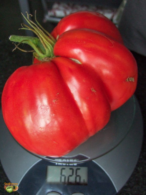 allemande (copie)