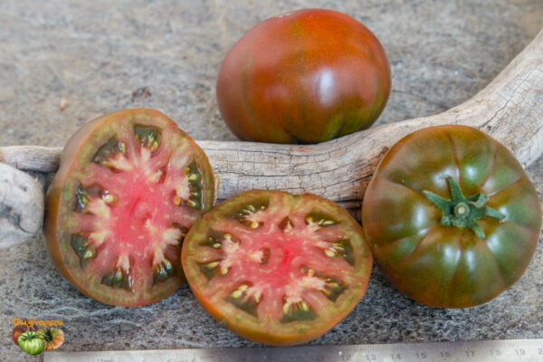 STRAWBERRY MARGARITA BICOLOR - Image 6