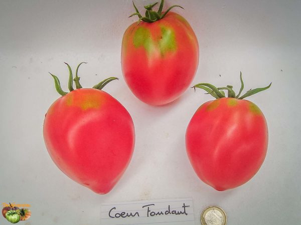 COEUR FONDANT - Image 3