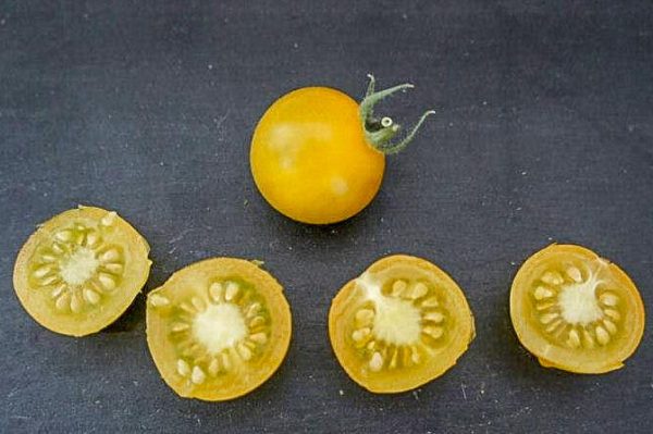 gold berries