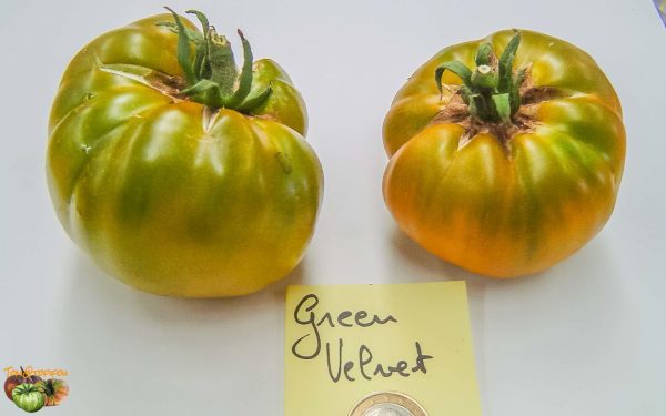 green velvet