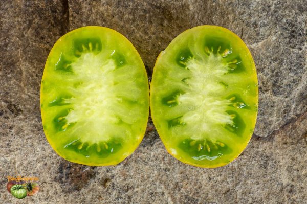 LIME GREEN SALAD - Image 6