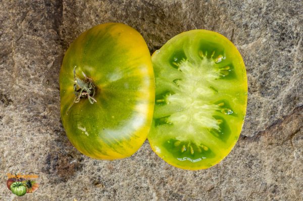 LIME GREEN SALAD - Image 5