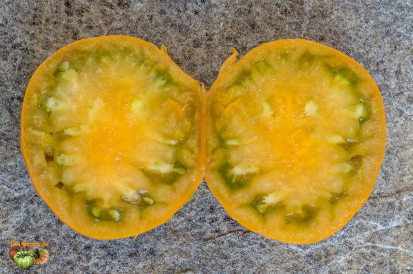 ORANGE GHABBANA - Image 3