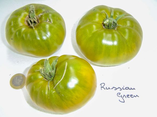 russian green
