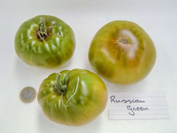 russian green