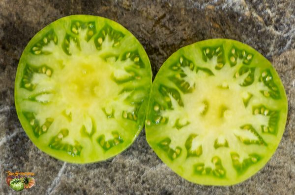 SUMMERTIME GREEN - Image 6