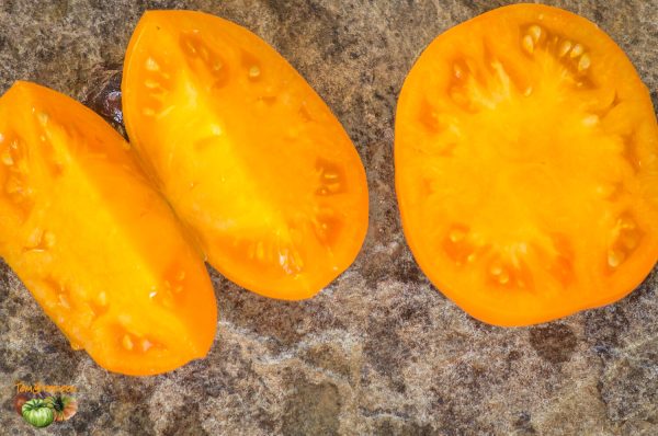 yuko's persimmon perfection