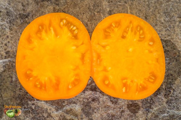yuko's persimmon perfection