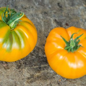 YUKO'S PERSIMMON PERFECTION