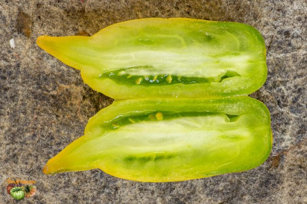 ZALAIS PIPARTOMATS - Image 6